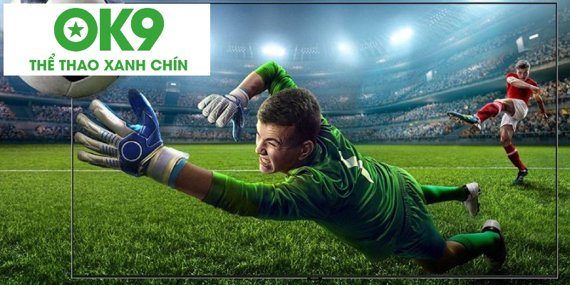 Quan sát mọi diễn biến của trận đấu Quan sát mọi diễn biến của trận đấu